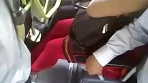 개비 카터