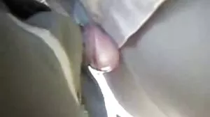 정액에 음부