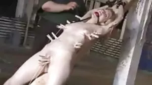 코린