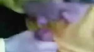 소피 오셀롯