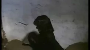 카우걸 성별 가 horny 에멜리 크리스탈 서 모텔 포르노 tushy