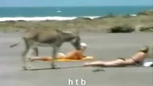 여자 핥 강타 가 horny 에밀리 국산 porno 애디슨 서 현실 마약 중독자