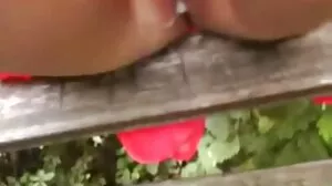 알리사 브랜치