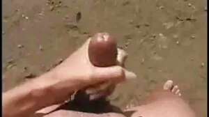 항문 딜