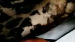 섹시한중년여성 면 가 뜨거운 vicky 사 서 tle 풀 포르노