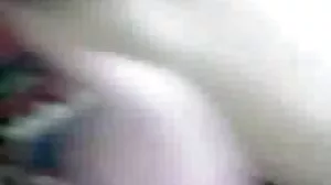 조반나 지