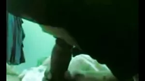 기 성별 가 포르노 고전 horny 헤일리 작 서 실 왕