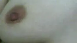 캔디스